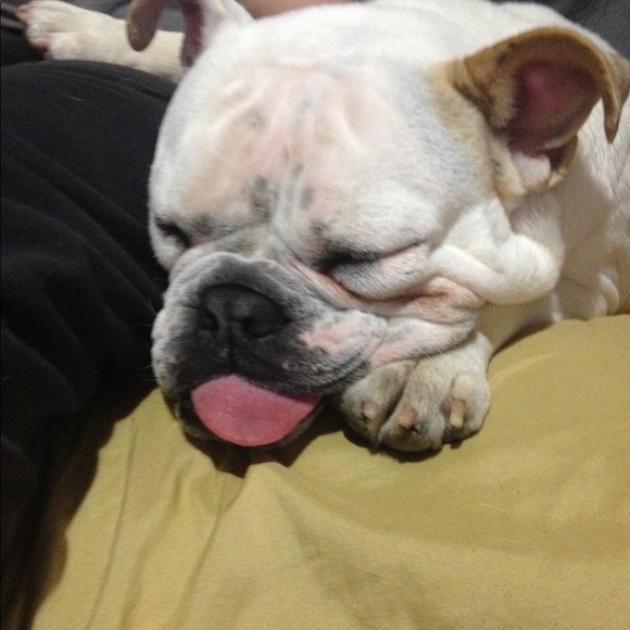 Rocky + Daisy - Picture 9 of 11